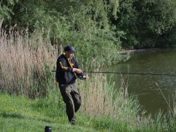 Competities HSV Alfheim